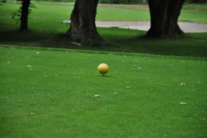 2014-06-14 Golfturnier LebensBlicke (10)