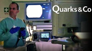 Quarks 2014-08