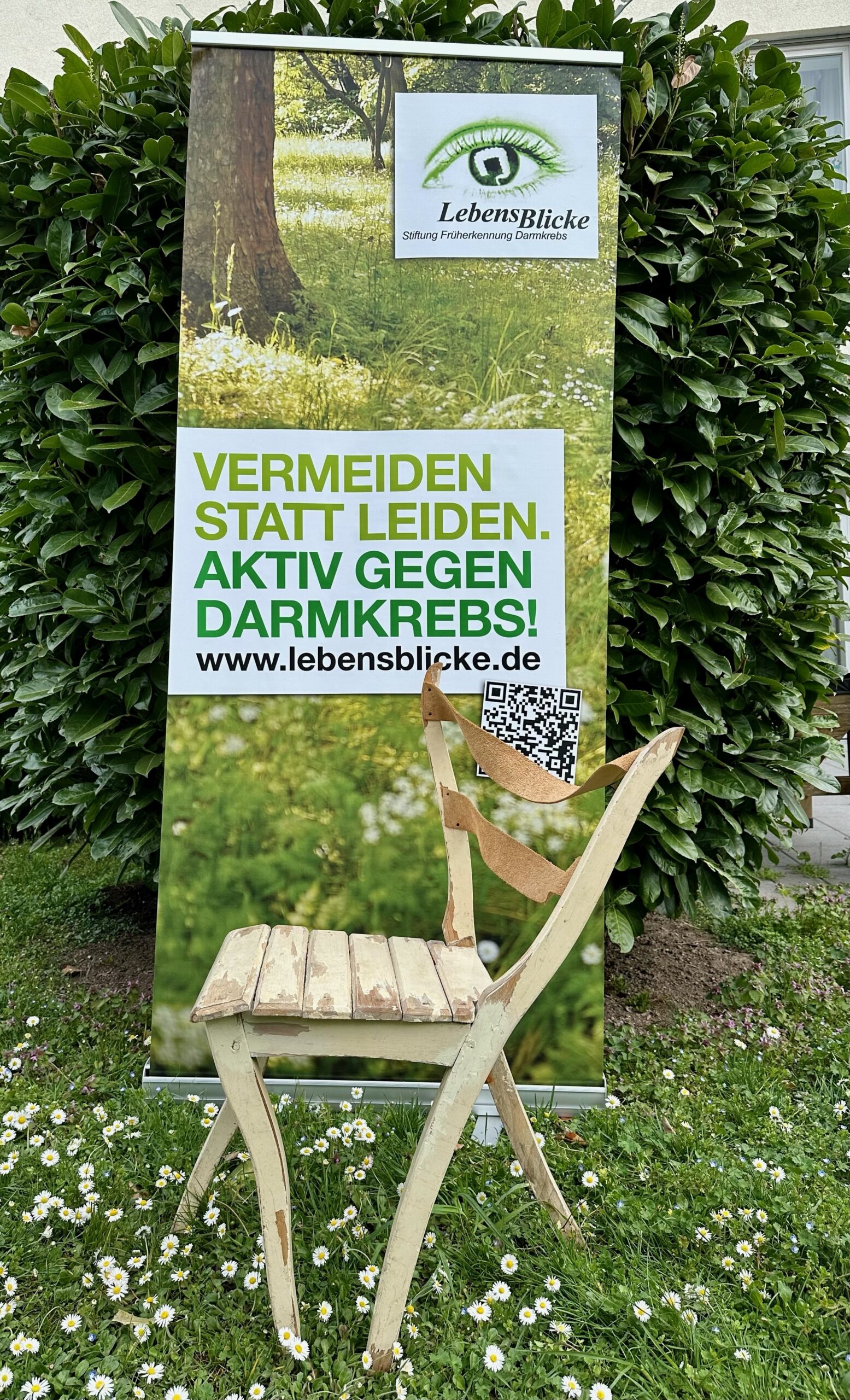 darmkrebsvorsorge-stuhlgang-k-nstlerisch-interpretiert-stiftung
